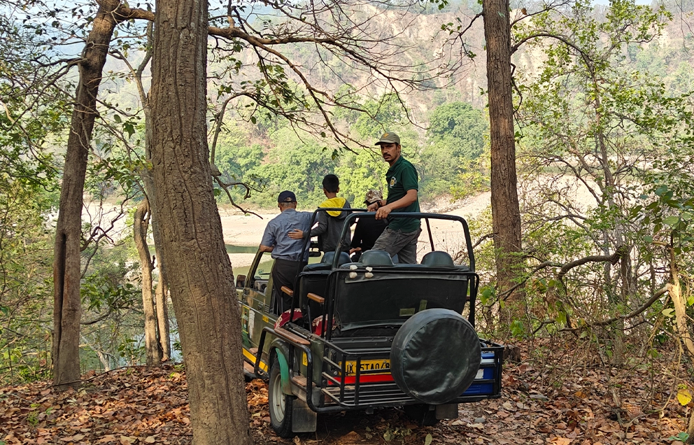 jungle safari jypsy kalagarh tiger reserve