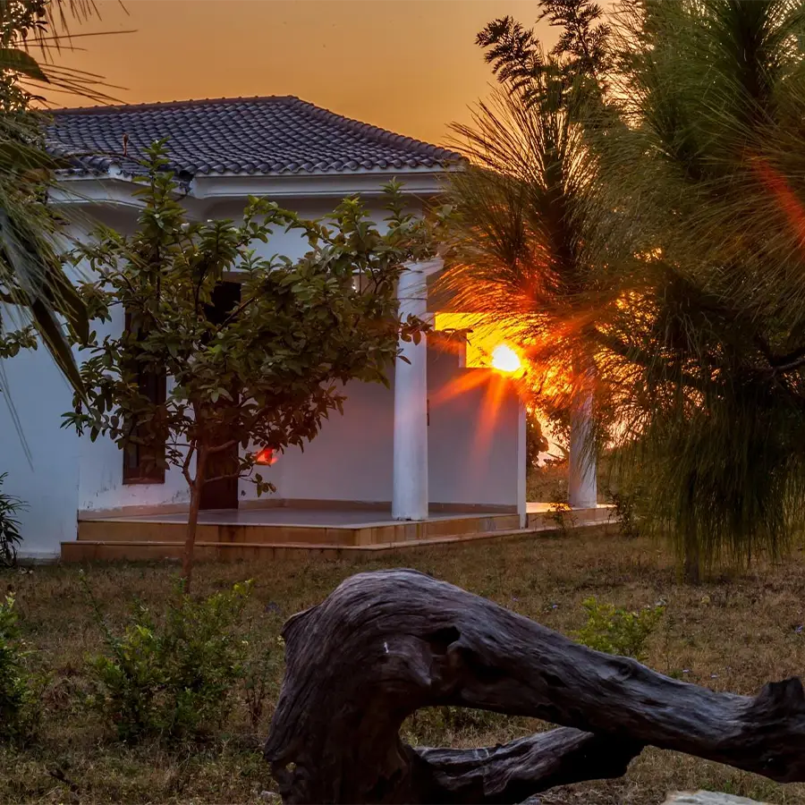 vanvasa gallery
